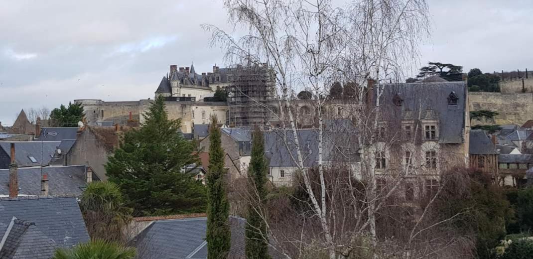 Appartement De Charme Amboise Eksteriør billede
